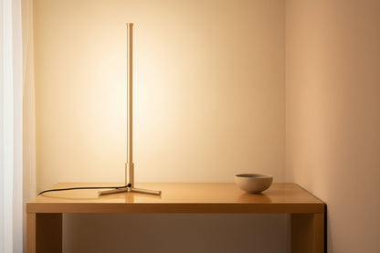 Indoor Corner Table Lamp-0